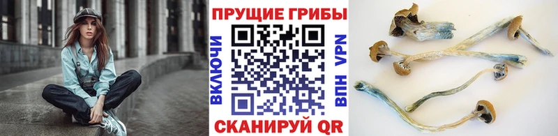 сколько стоит  Красково  Галлюциногенные грибы ЛСД 
